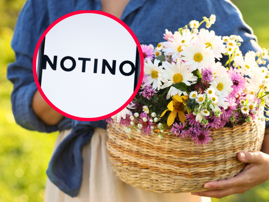 kwiatowe perfumy Notino