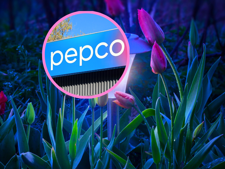 pepco lampka solarna