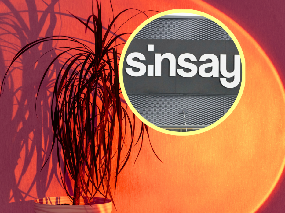 sinsay