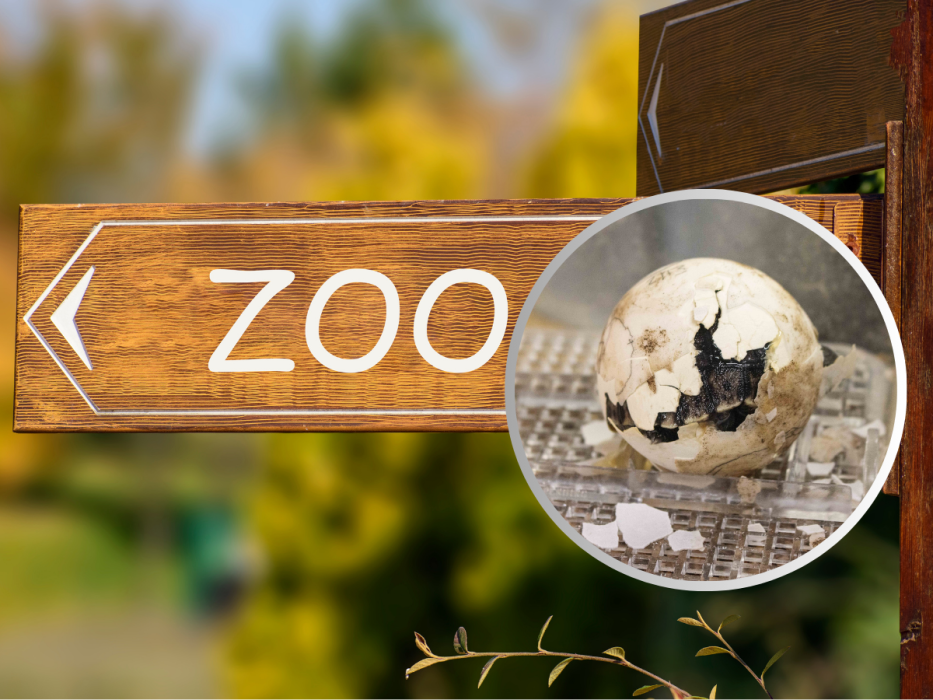 Zoo w Filadelfii