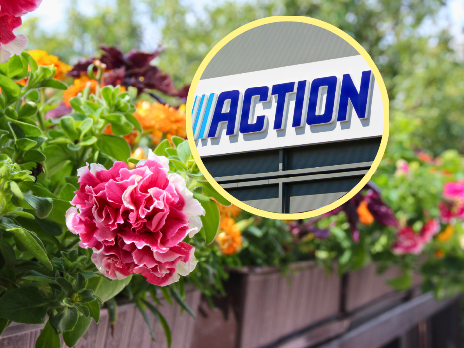 action