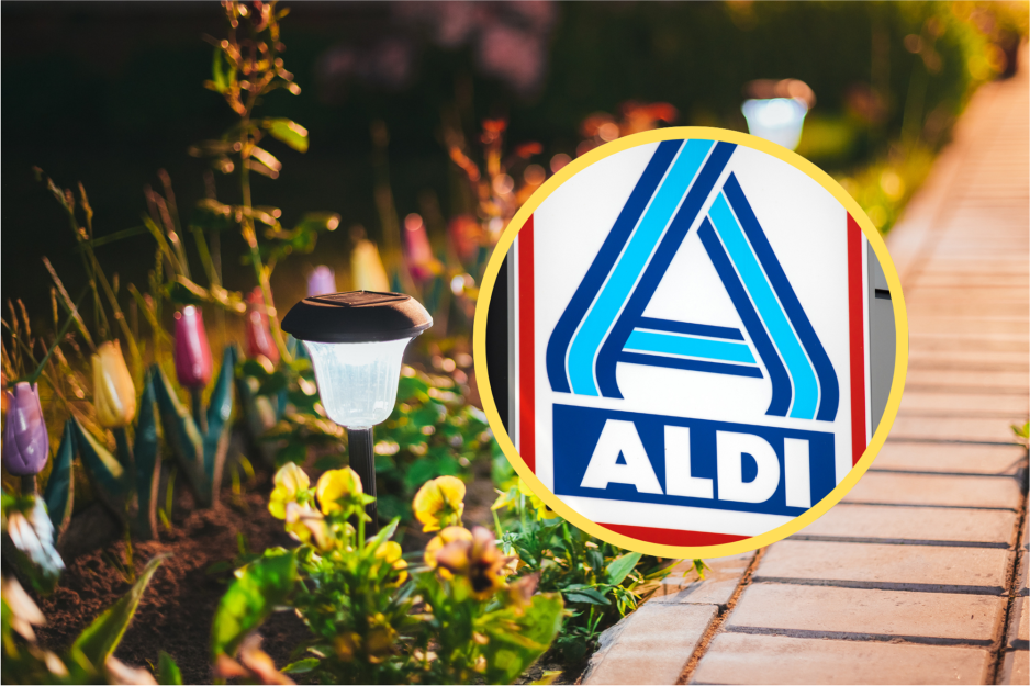 Aldi