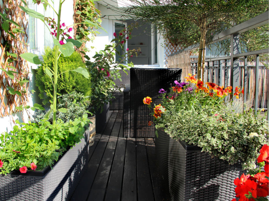 kwiecisty balkon