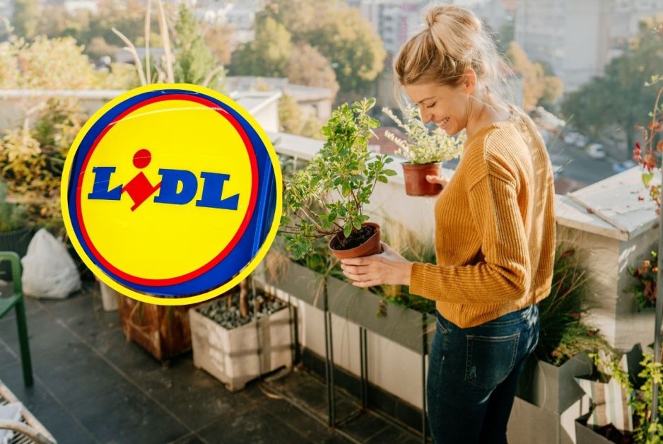 ROD na balkonie od kwietnia