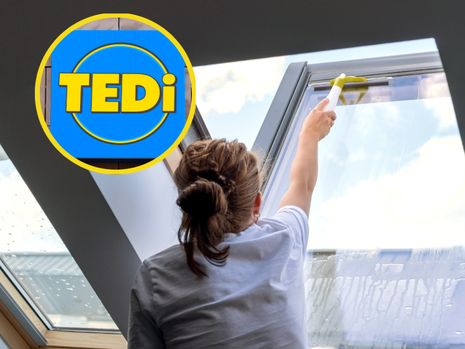 tedi