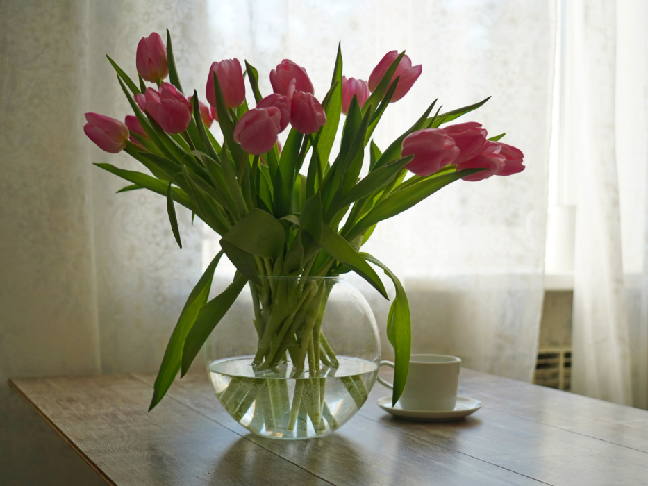 tulipany cięte