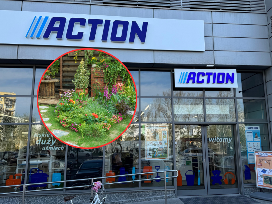 Action