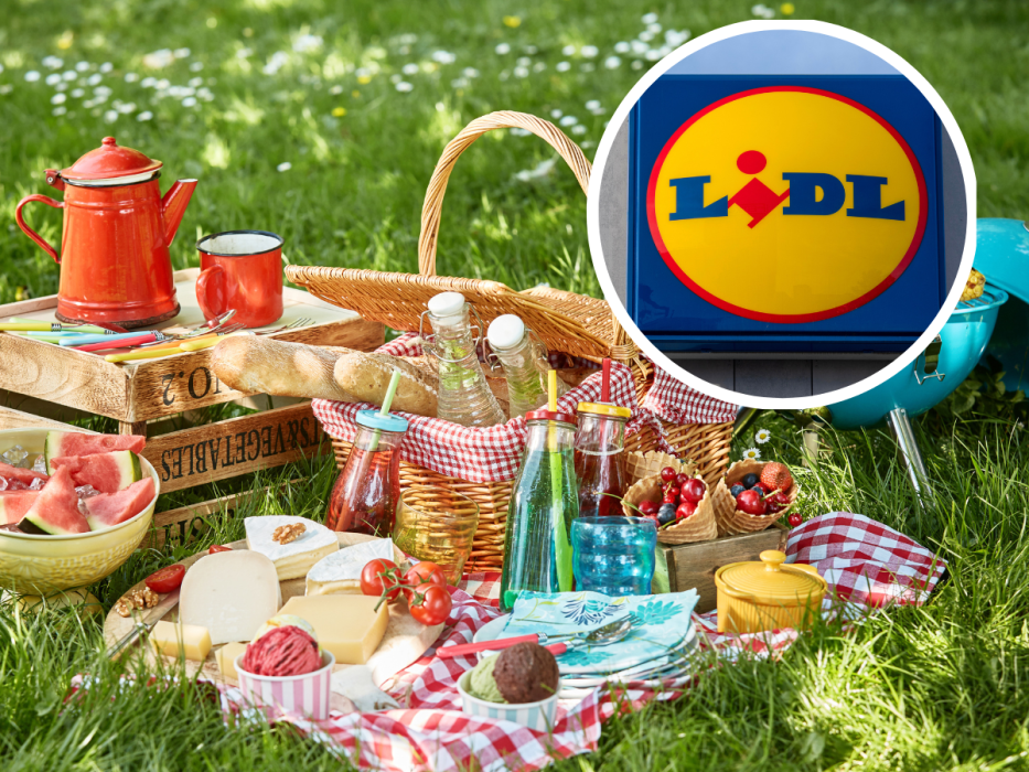 akcesoria piknikowe Lidl