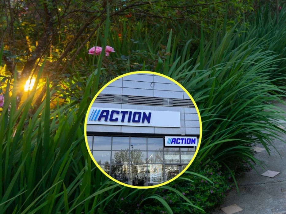 Lampki solarne z promocji Action