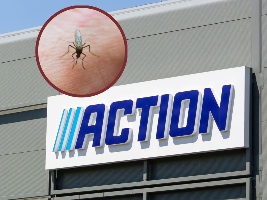 action