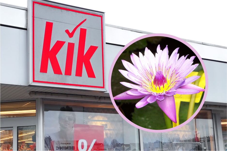 KiK