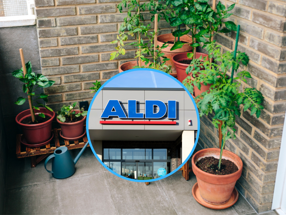 Drewniany wózek pod rośliny z Aldi