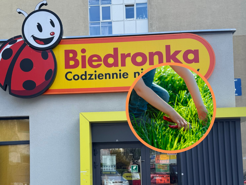 nożyce