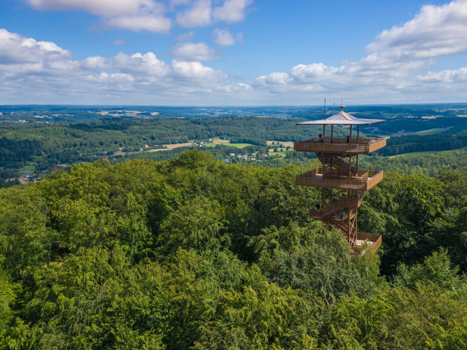wieżyca