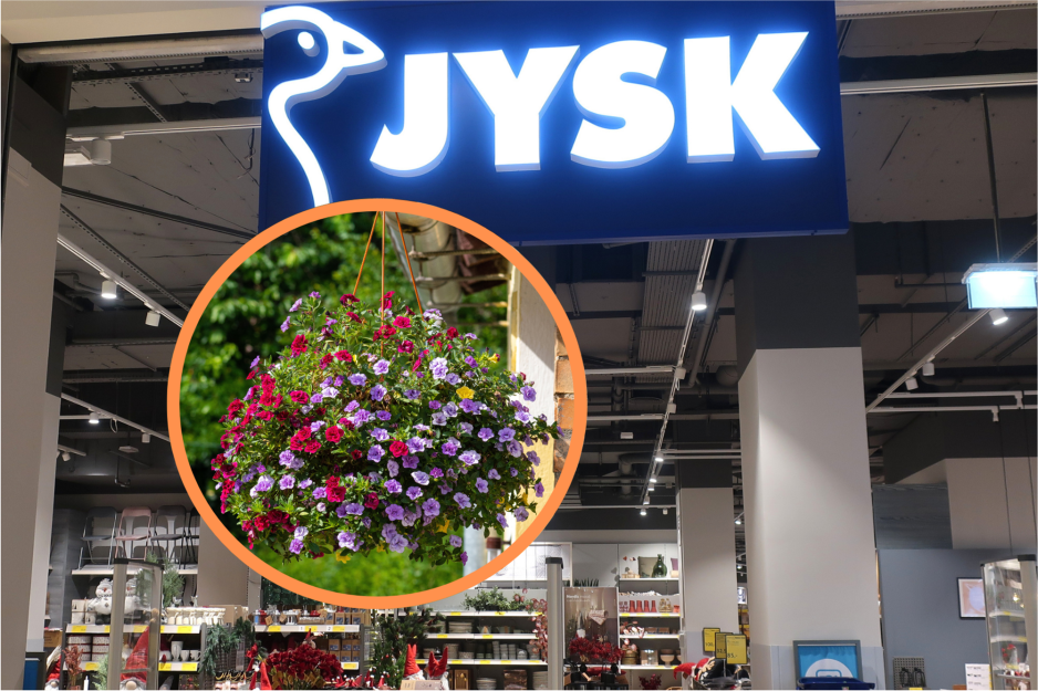 Jysk