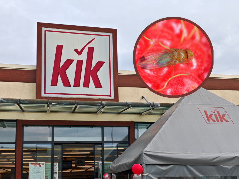 kik