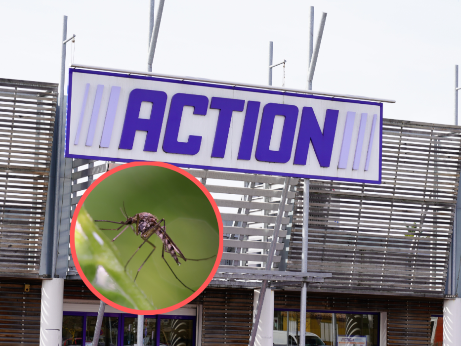 Action komary