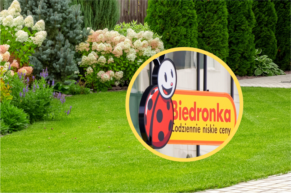 Biedronka