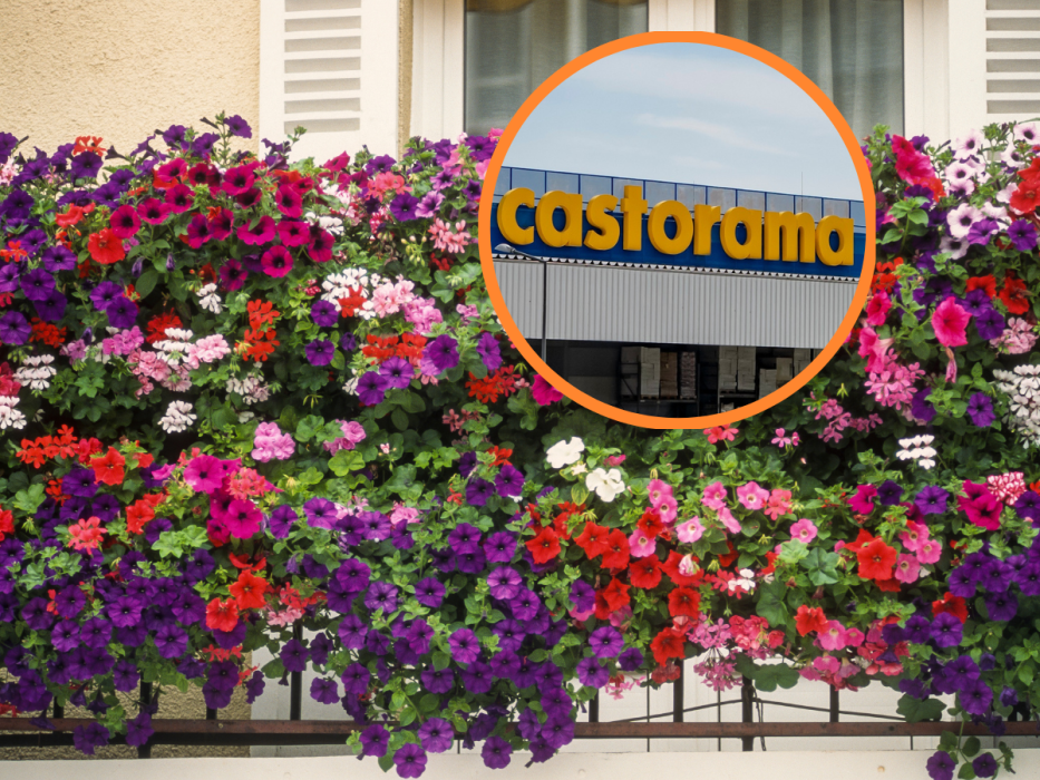 castorama
