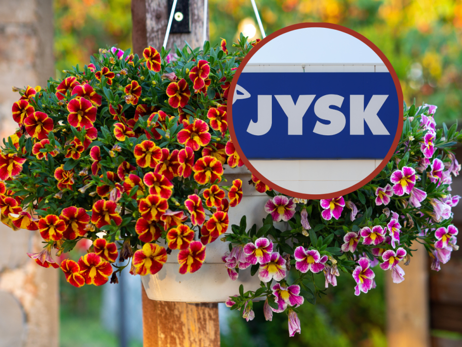 jysk