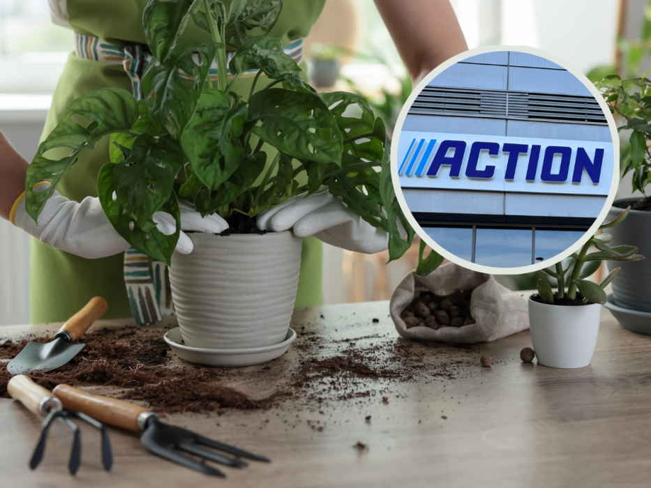 ziemia action