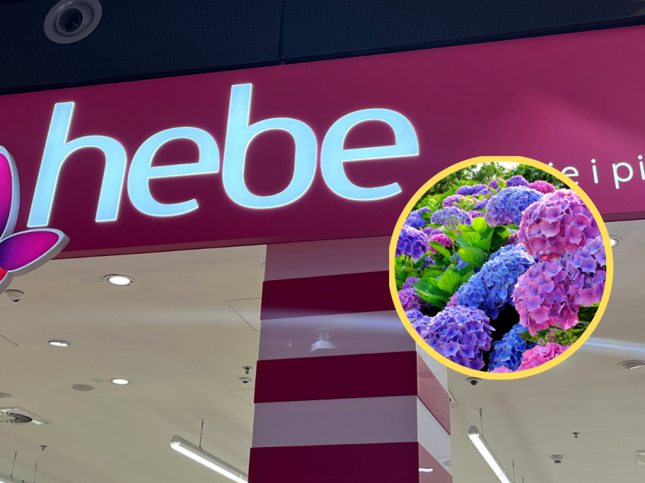 hebe