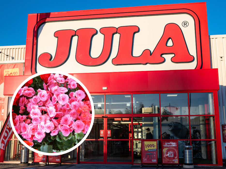 Jula