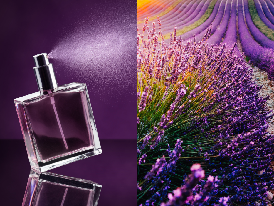 perfumy
