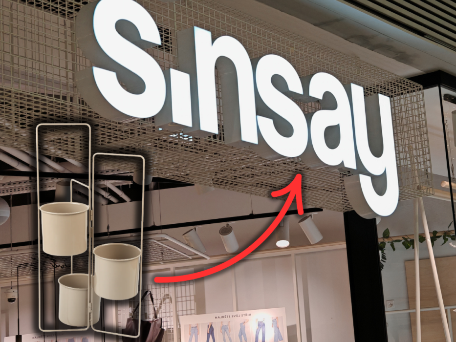 sinsay