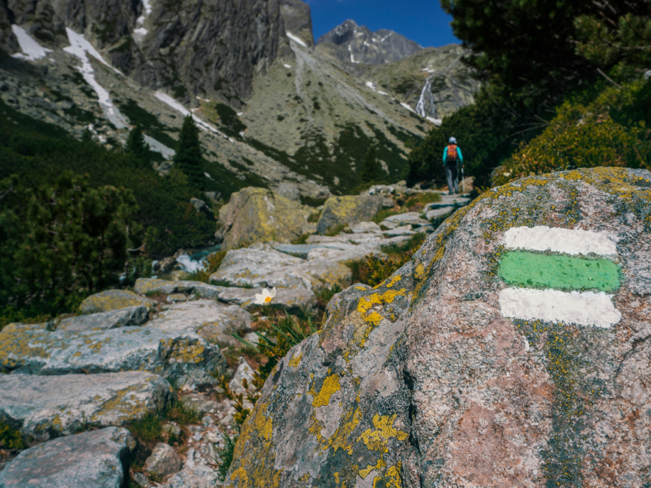 tatry