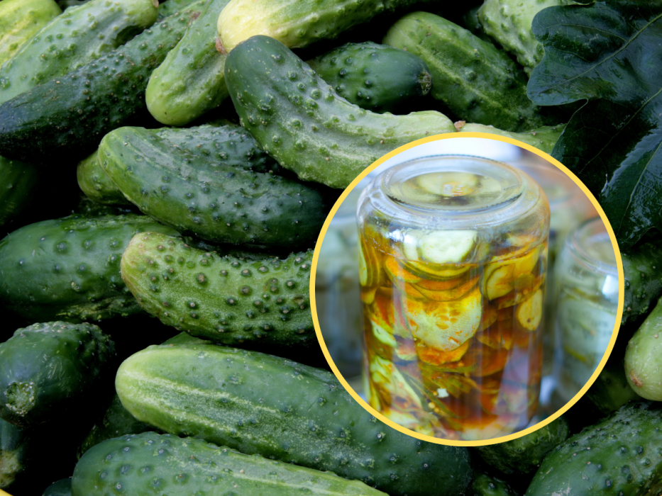 ogórki