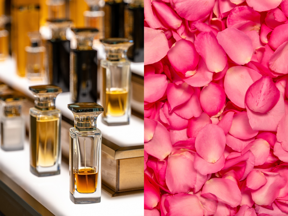 perfumy