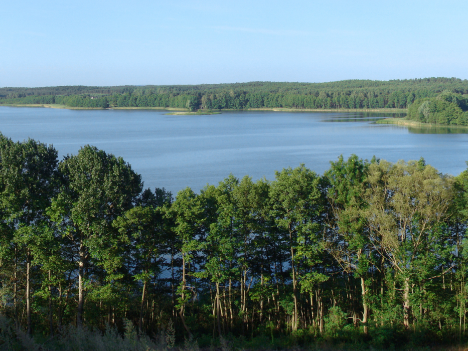 Jezioro Chłop w Pszczewskim Parku Krajobrazowym