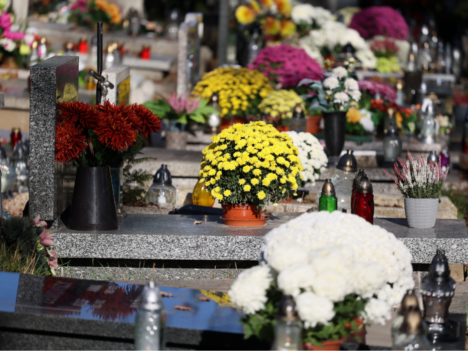 kwiaty na cmentarz