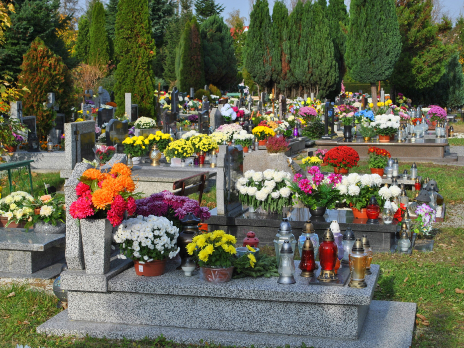 kwiaty na Wszystkich Świętych