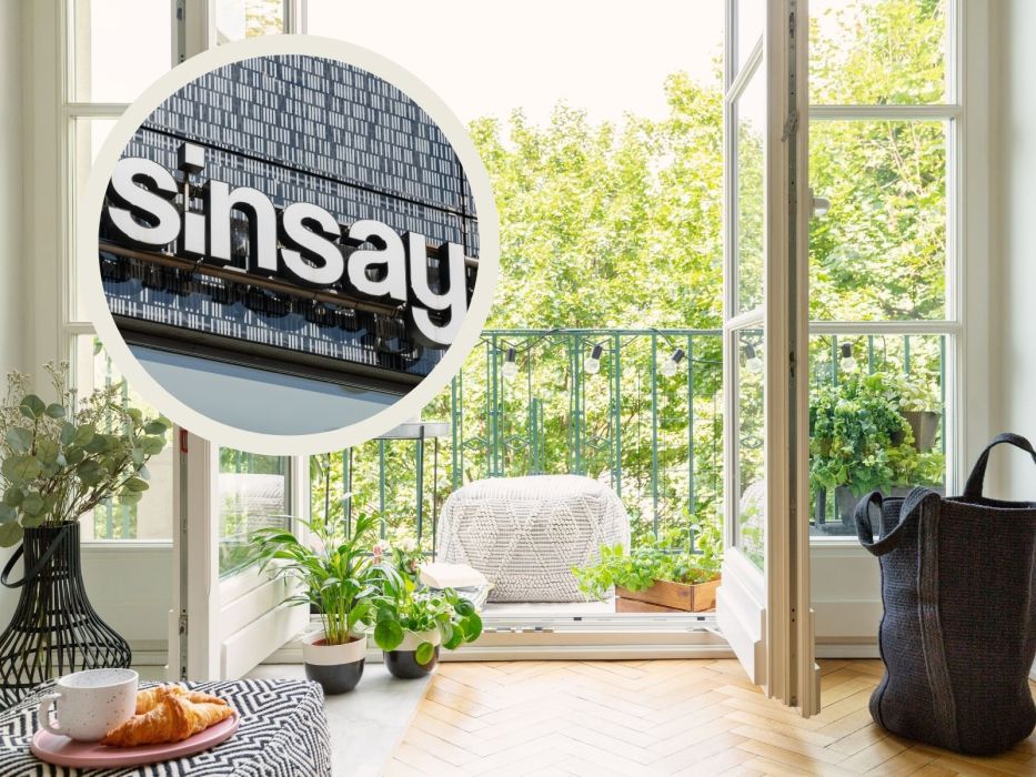 Samonawadniające ptaszki do doniczek – 5 sztuk w Sinsay na balkonową oazę