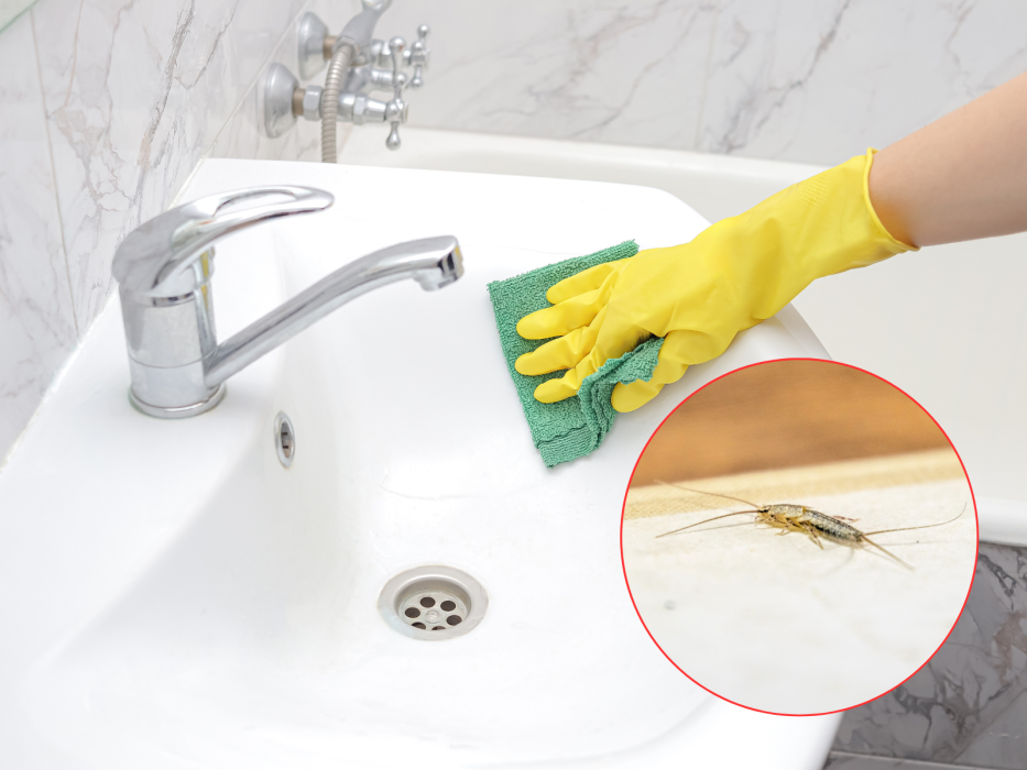 sposób na rybiki w łazience