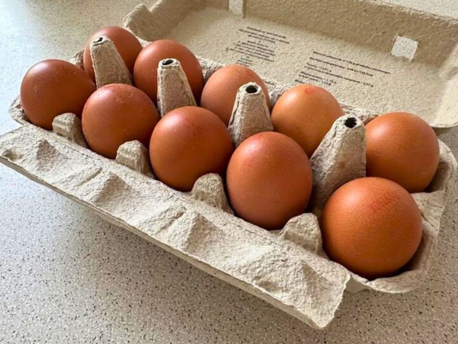 jajka w wytłaczance