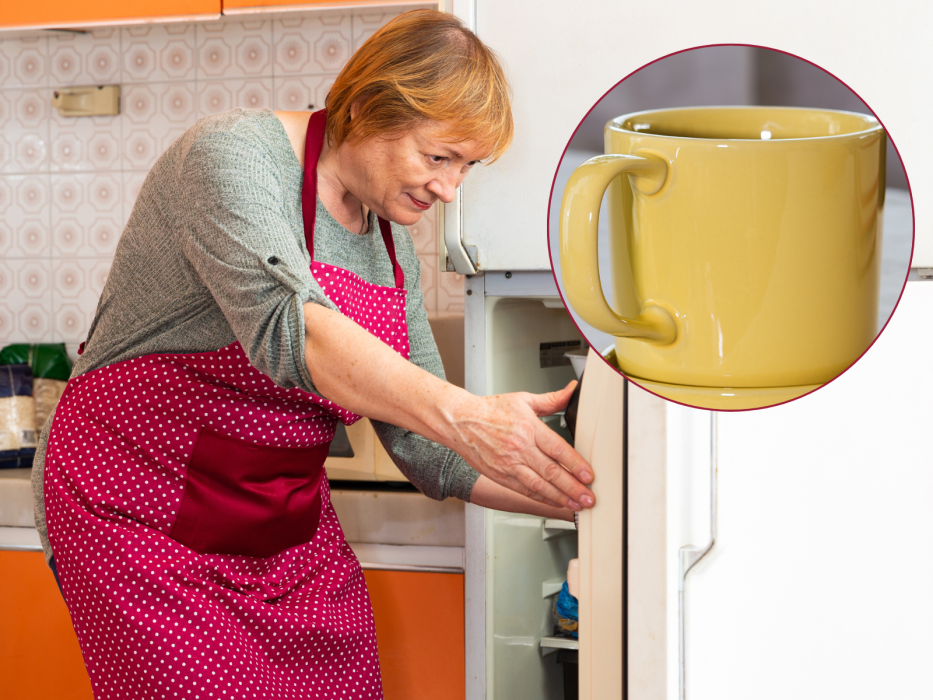 lodówka domowy trik zapach