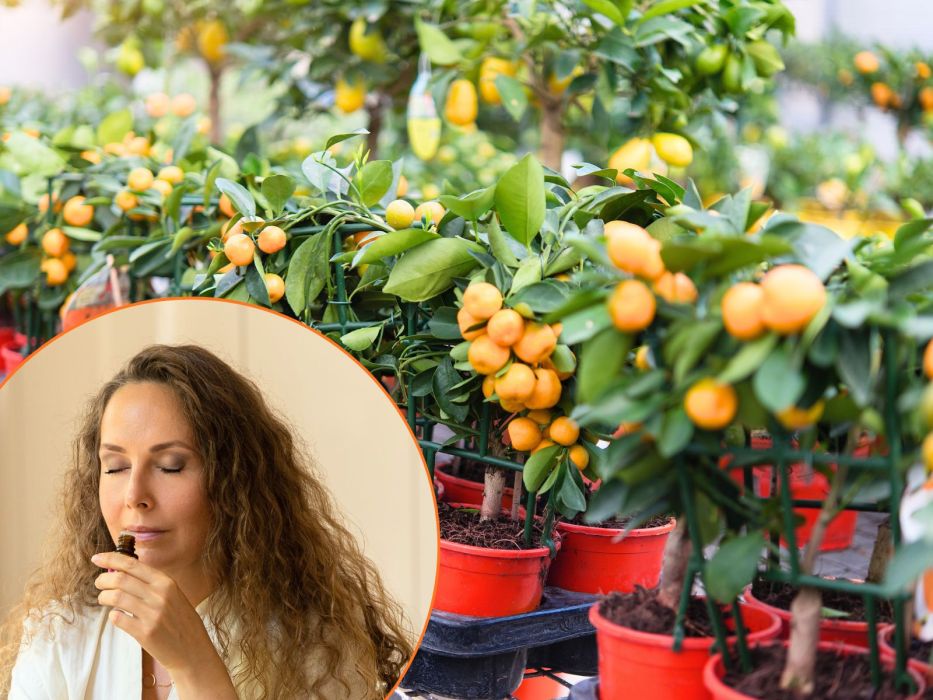 domowy sposób zapach mycie podłogi