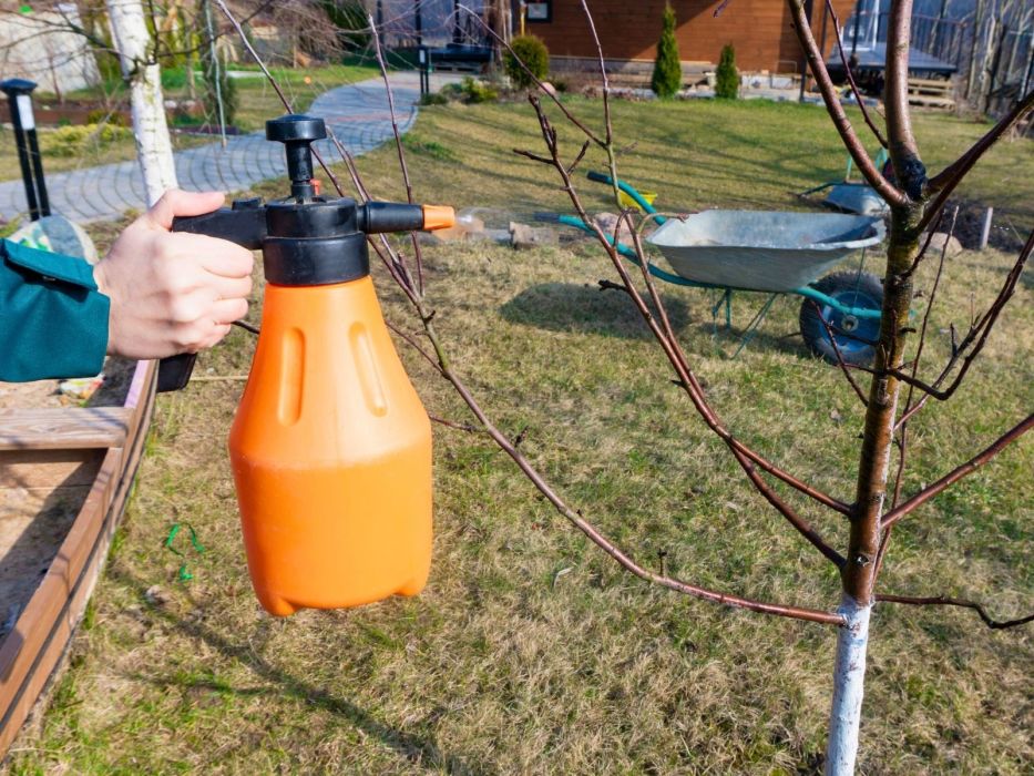 oprysk z oleju parafinowego