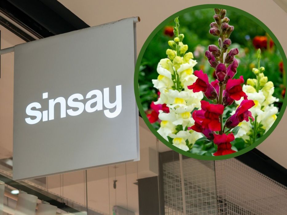 Sinsay lampki solarne kwiaty