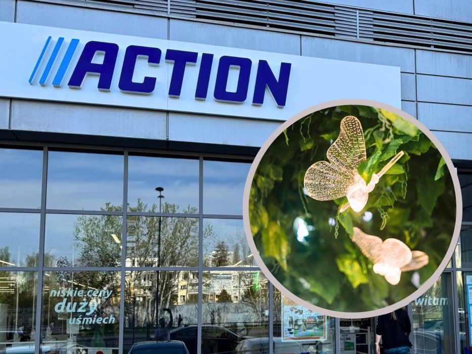 solarne motylki z Action