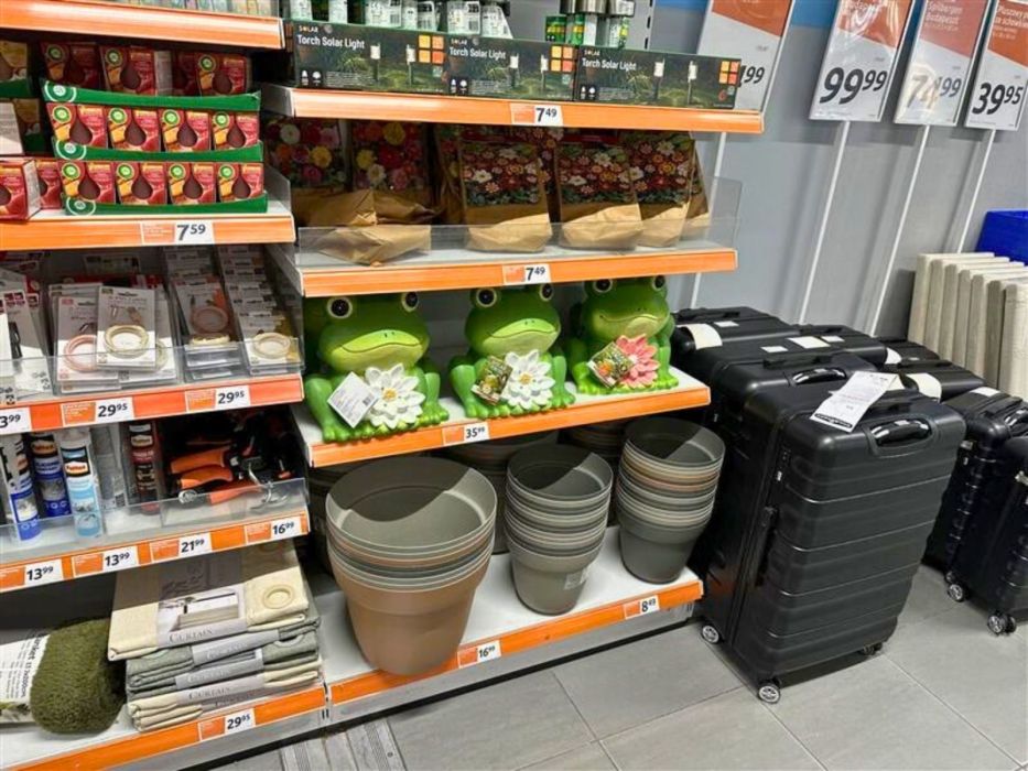 solarne żaby Action