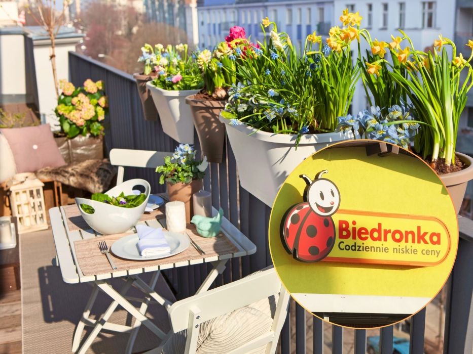 zestaw na balkon Biedronka