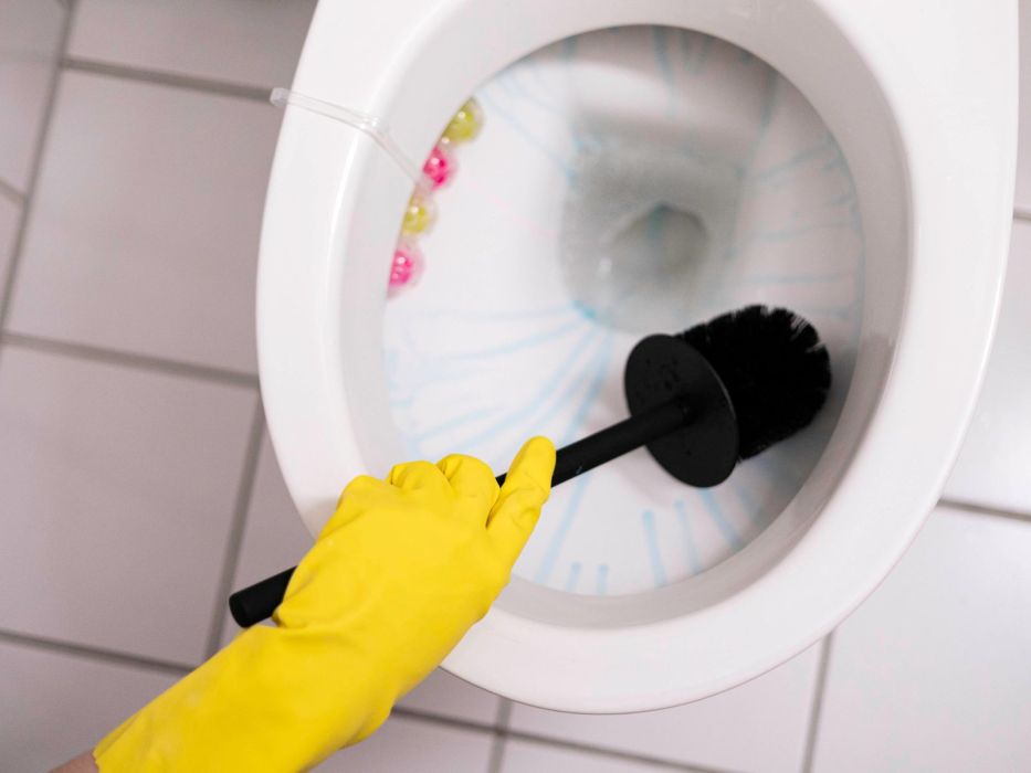 czyszczenie WC