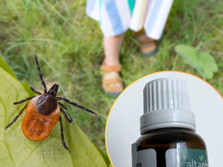 kleszcze domowy sposób