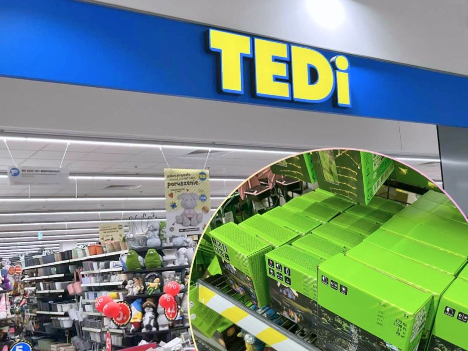 solarna fontanna Tedi