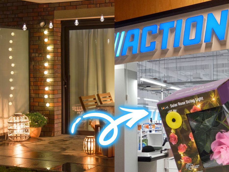 solarne róże Action