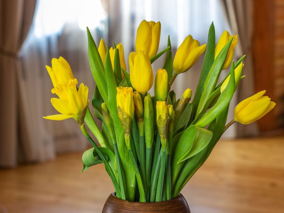 tulipany i żonkile